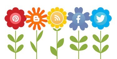 social-flowers-375